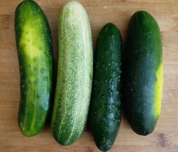 Cucumber Calories, Nutrition Facts (Carbs, Proteins, Vitamin, Minerals)