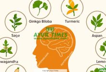 10 Best Herbs for Dementia